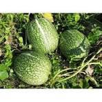 Ventas Varias Sin datos  FRUTA
